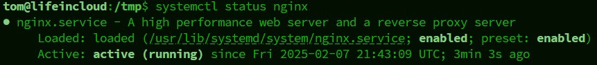 onlyoffice nginx status