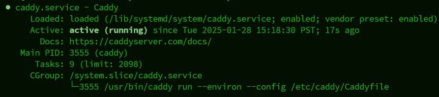 systemctl status caddy
