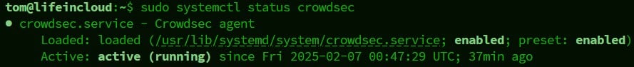 crowdsec service status